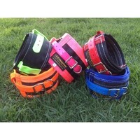 PIG DOG RIP COLLAR (READY MADE) L (Large) WITH NEW HARNESS WEBBING PARA ARAMID [Colour: Pink]