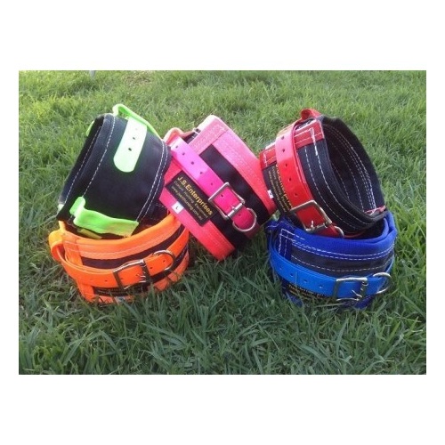 PIG DOG RIP COLLAR (READY MADE) M (MED) WITH NEW HARNESS WEBBING PARA ARAMID [Colour: Red]