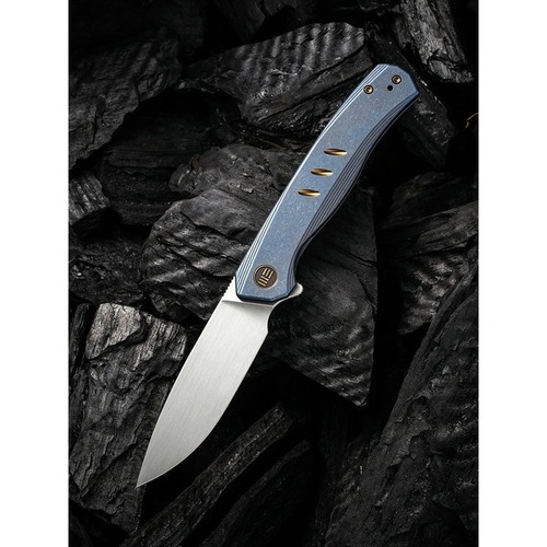 We Knife We20015-2  Seer Folding Knife