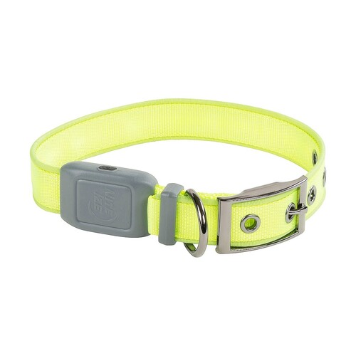 NiteDog Rechargeable LED Collar M Lime/Green LED