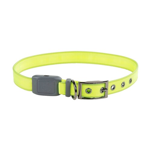 NiteDog Rechargeable LED Collar XL Lime/Green LED